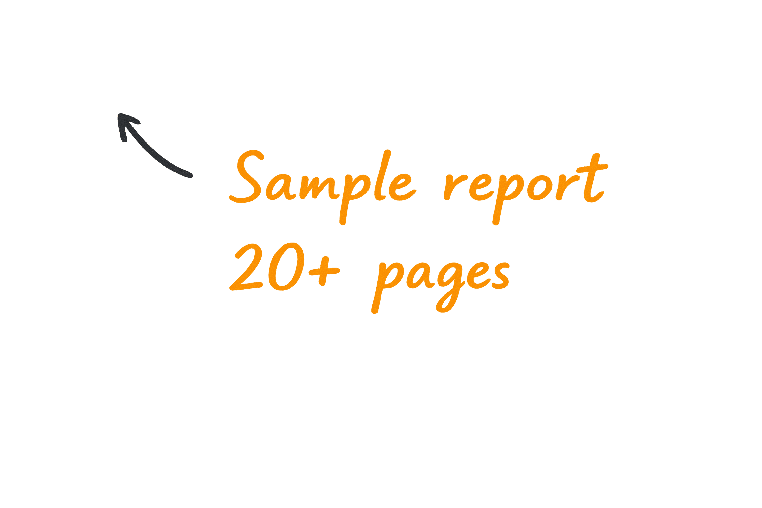 Sample report 20+ pages